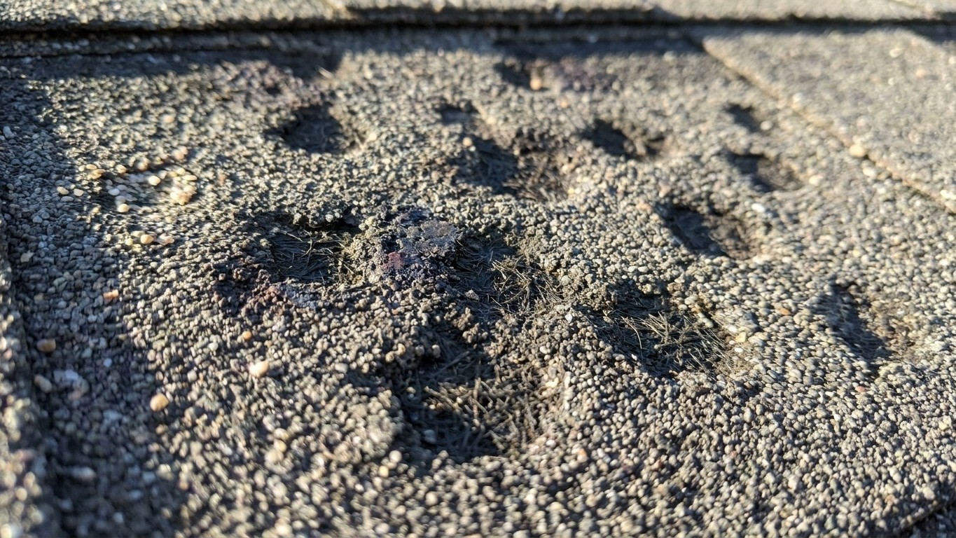 Hail Damage: What It Looks Like and What to Do