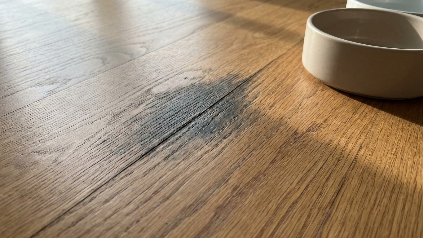Dark Pet Stains in a Wooden Floor